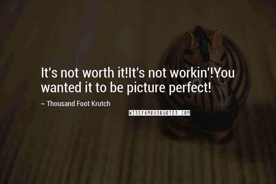 Thousand Foot Krutch Quotes: It's not worth it!It's not workin'!You wanted it to be picture perfect!