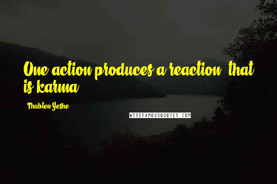 Thubten Yeshe Quotes: One action produces a reaction; that is karma.