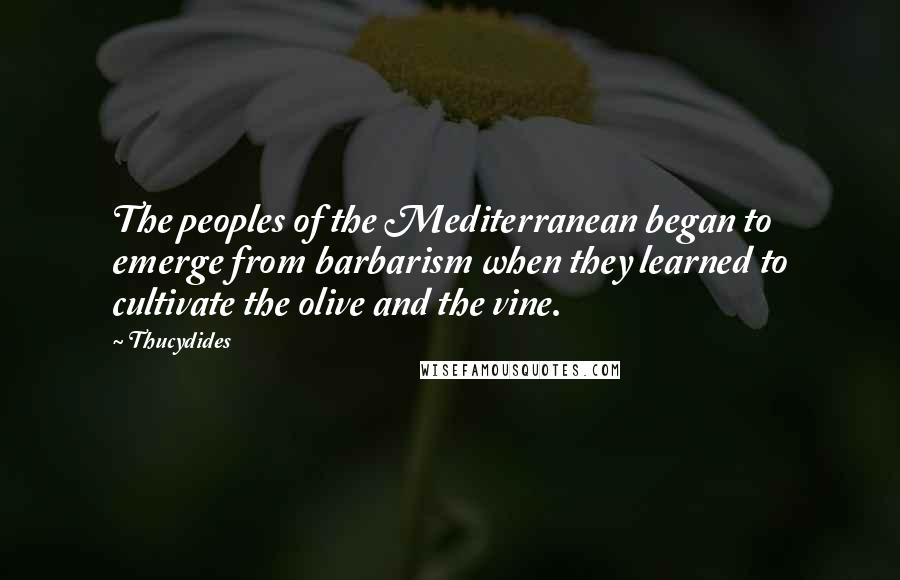 Thucydides Quotes: The peoples of the Mediterranean began to emerge from barbarism when they learned to cultivate the olive and the vine.