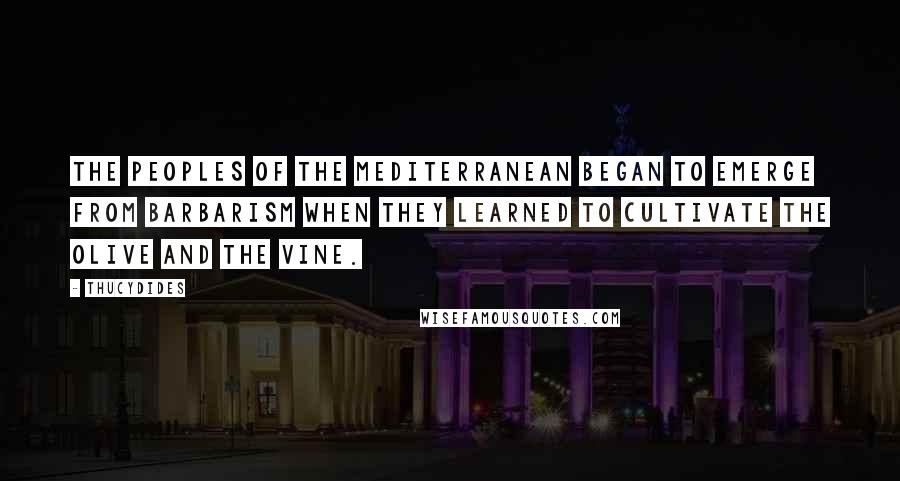 Thucydides Quotes: The peoples of the Mediterranean began to emerge from barbarism when they learned to cultivate the olive and the vine.