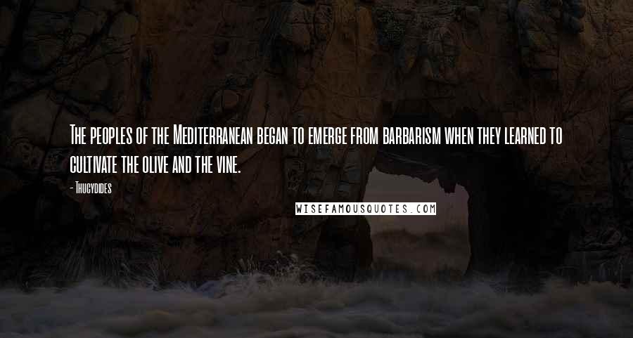 Thucydides Quotes: The peoples of the Mediterranean began to emerge from barbarism when they learned to cultivate the olive and the vine.