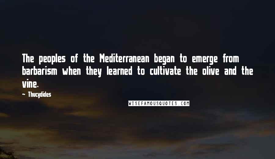 Thucydides Quotes: The peoples of the Mediterranean began to emerge from barbarism when they learned to cultivate the olive and the vine.