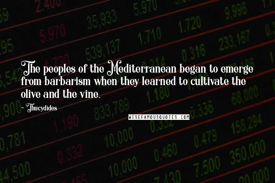 Thucydides Quotes: The peoples of the Mediterranean began to emerge from barbarism when they learned to cultivate the olive and the vine.