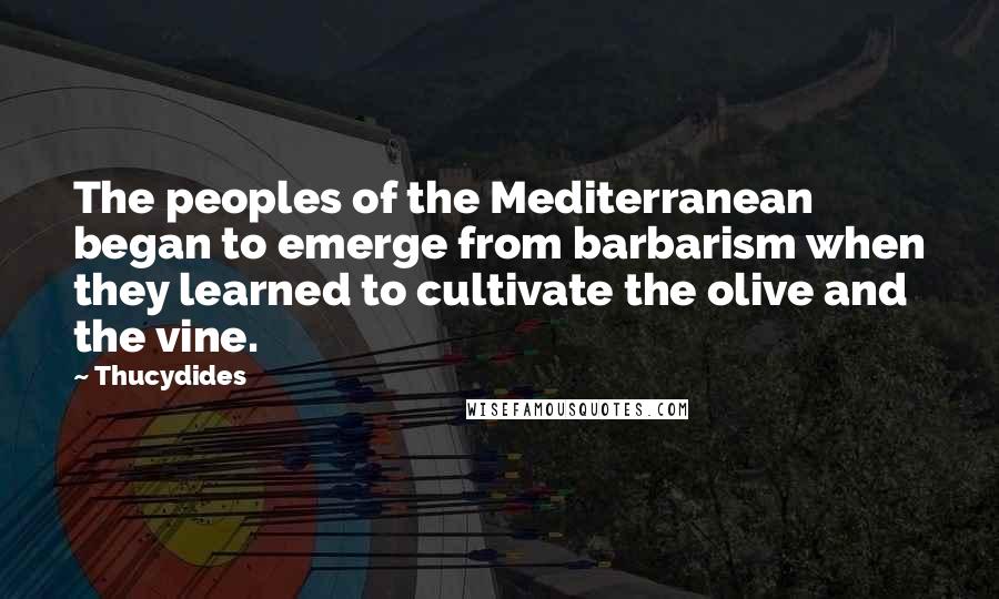 Thucydides Quotes: The peoples of the Mediterranean began to emerge from barbarism when they learned to cultivate the olive and the vine.