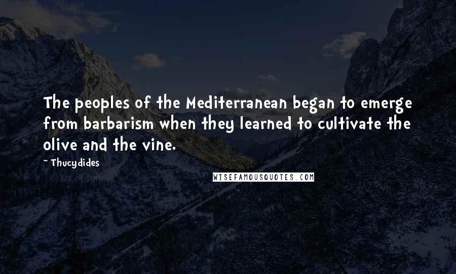 Thucydides Quotes: The peoples of the Mediterranean began to emerge from barbarism when they learned to cultivate the olive and the vine.