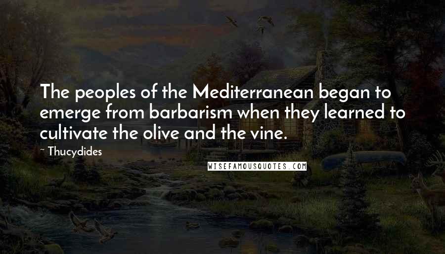 Thucydides Quotes: The peoples of the Mediterranean began to emerge from barbarism when they learned to cultivate the olive and the vine.