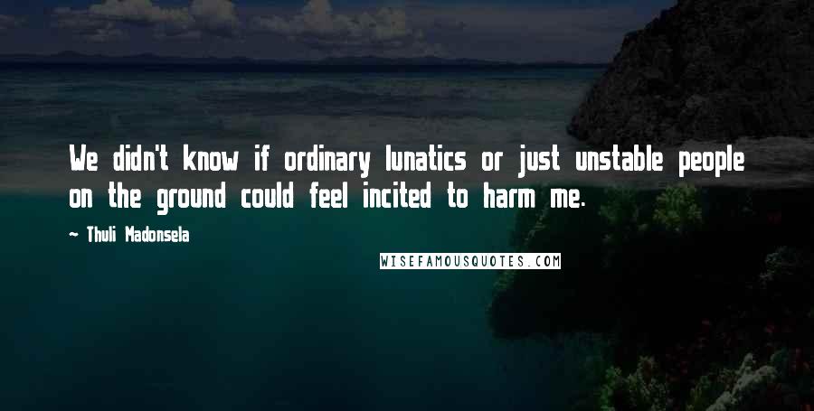 Thuli Madonsela Quotes: We didn't know if ordinary lunatics or just unstable people on the ground could feel incited to harm me.