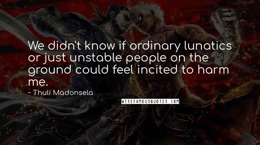 Thuli Madonsela Quotes: We didn't know if ordinary lunatics or just unstable people on the ground could feel incited to harm me.