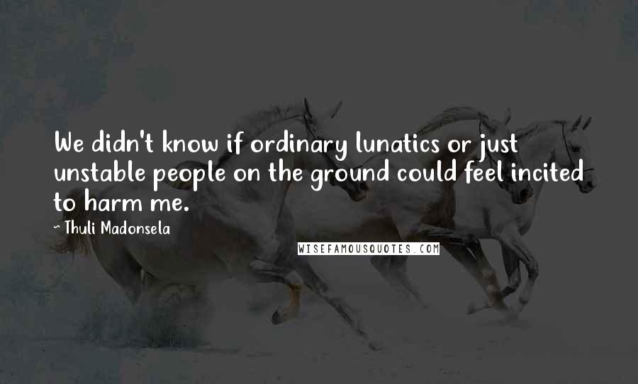 Thuli Madonsela Quotes: We didn't know if ordinary lunatics or just unstable people on the ground could feel incited to harm me.