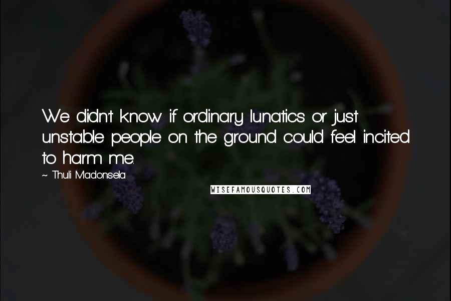 Thuli Madonsela Quotes: We didn't know if ordinary lunatics or just unstable people on the ground could feel incited to harm me.