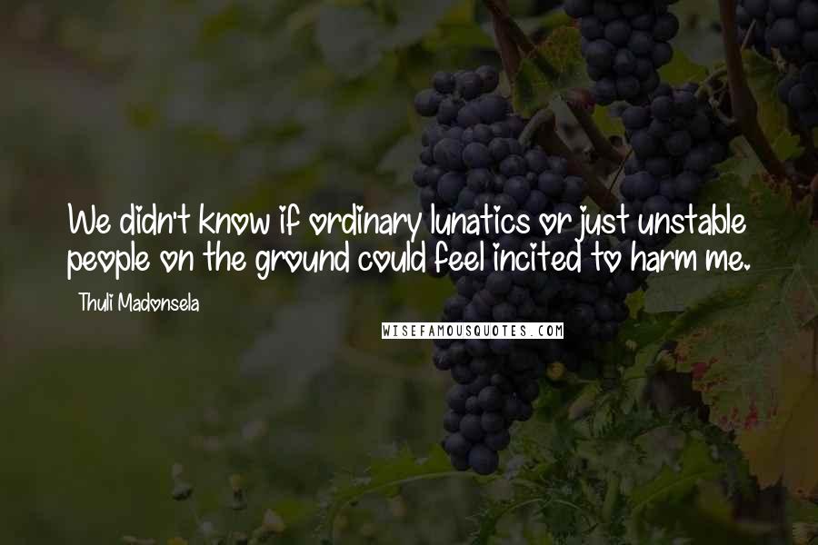 Thuli Madonsela Quotes: We didn't know if ordinary lunatics or just unstable people on the ground could feel incited to harm me.