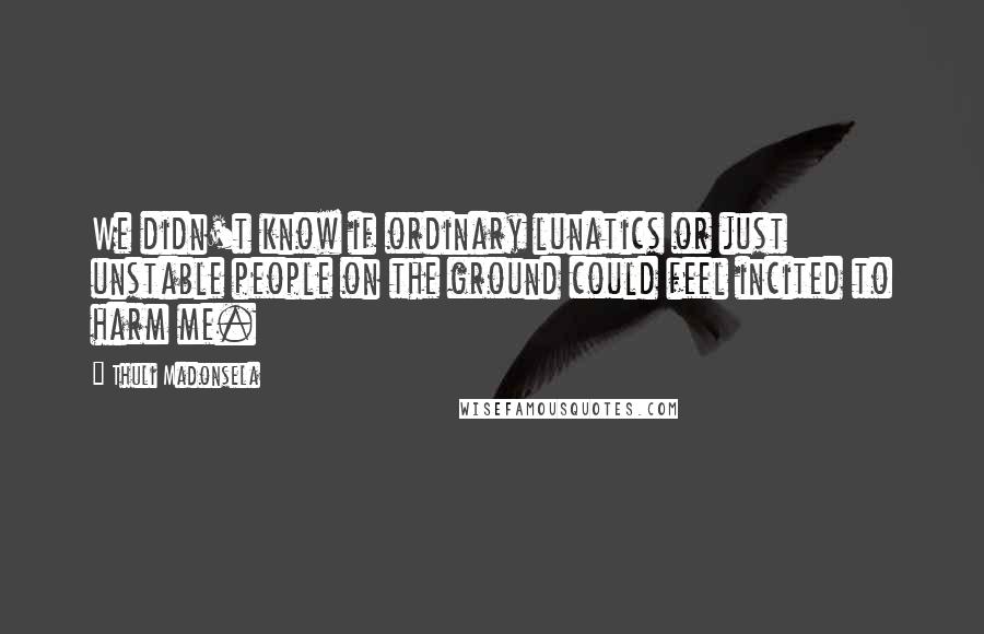 Thuli Madonsela Quotes: We didn't know if ordinary lunatics or just unstable people on the ground could feel incited to harm me.
