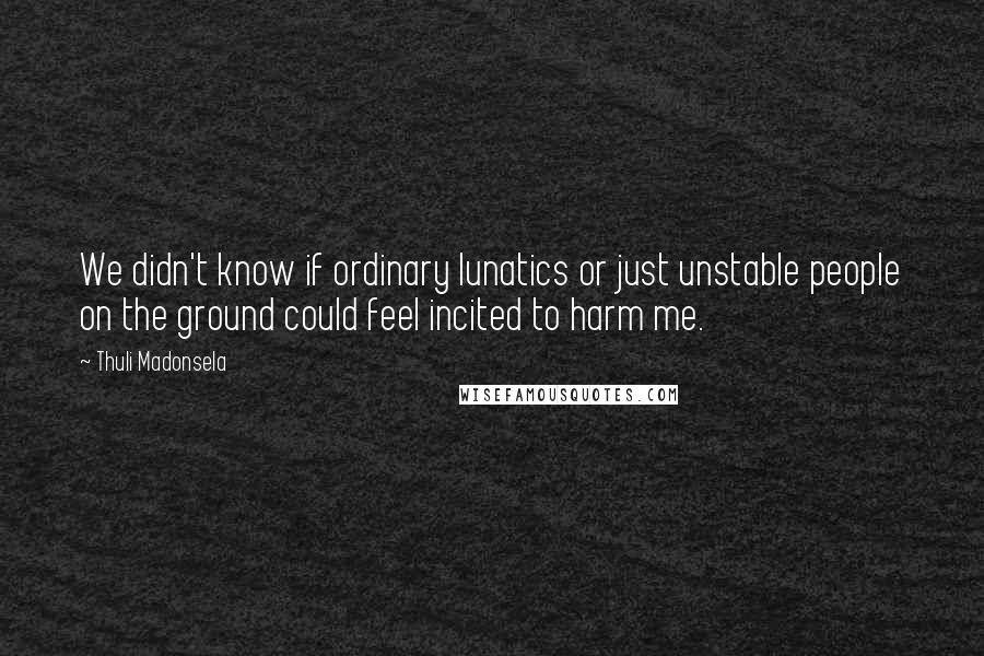 Thuli Madonsela Quotes: We didn't know if ordinary lunatics or just unstable people on the ground could feel incited to harm me.