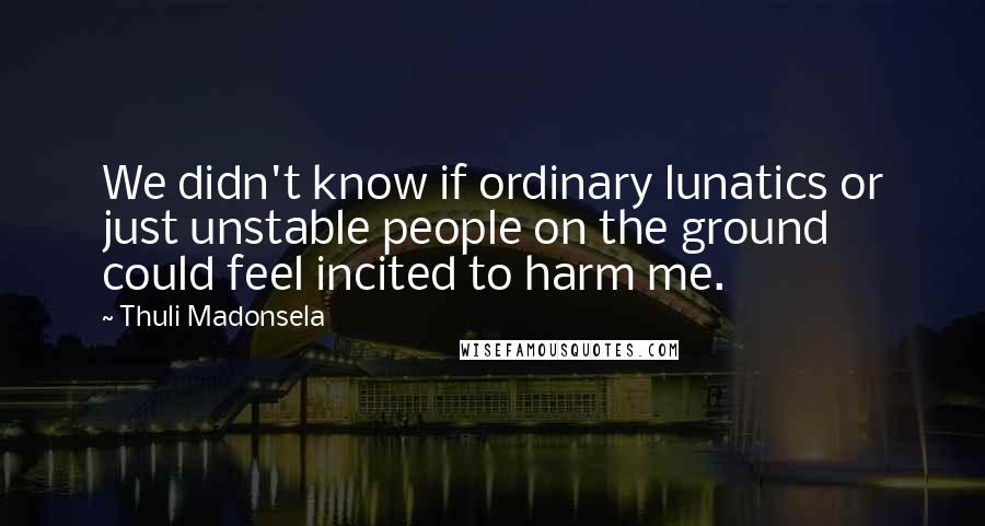 Thuli Madonsela Quotes: We didn't know if ordinary lunatics or just unstable people on the ground could feel incited to harm me.