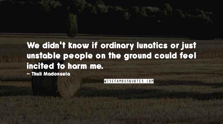 Thuli Madonsela Quotes: We didn't know if ordinary lunatics or just unstable people on the ground could feel incited to harm me.