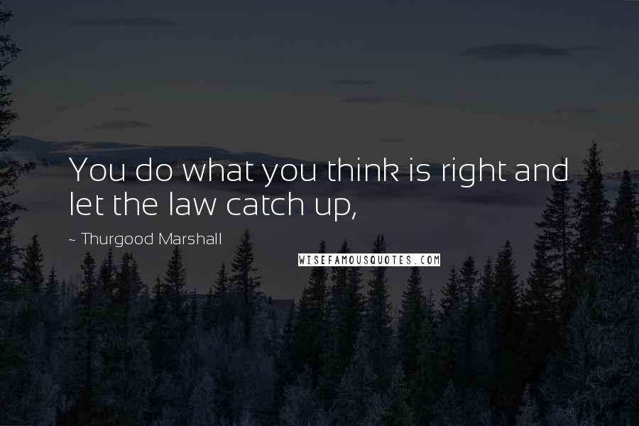 Thurgood Marshall Quotes: You do what you think is right and let the law catch up,