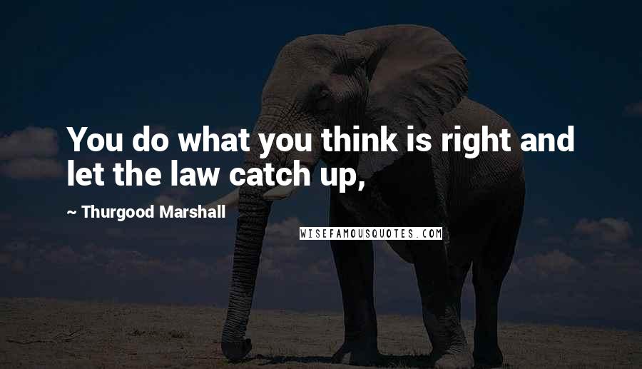 Thurgood Marshall Quotes: You do what you think is right and let the law catch up,
