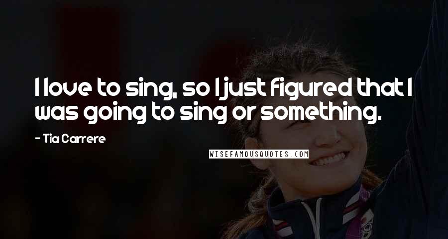 Tia Carrere Quotes: I love to sing, so I just figured that I was going to sing or something.