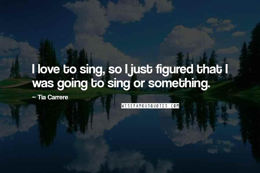 Tia Carrere Quotes: I love to sing, so I just figured that I was going to sing or something.