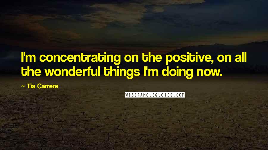 Tia Carrere Quotes: I'm concentrating on the positive, on all the wonderful things I'm doing now.