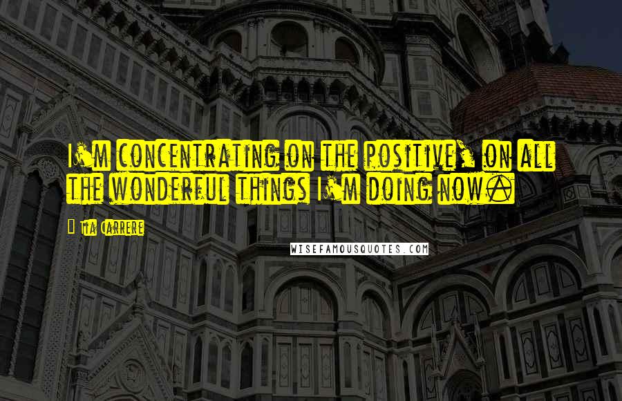 Tia Carrere Quotes: I'm concentrating on the positive, on all the wonderful things I'm doing now.