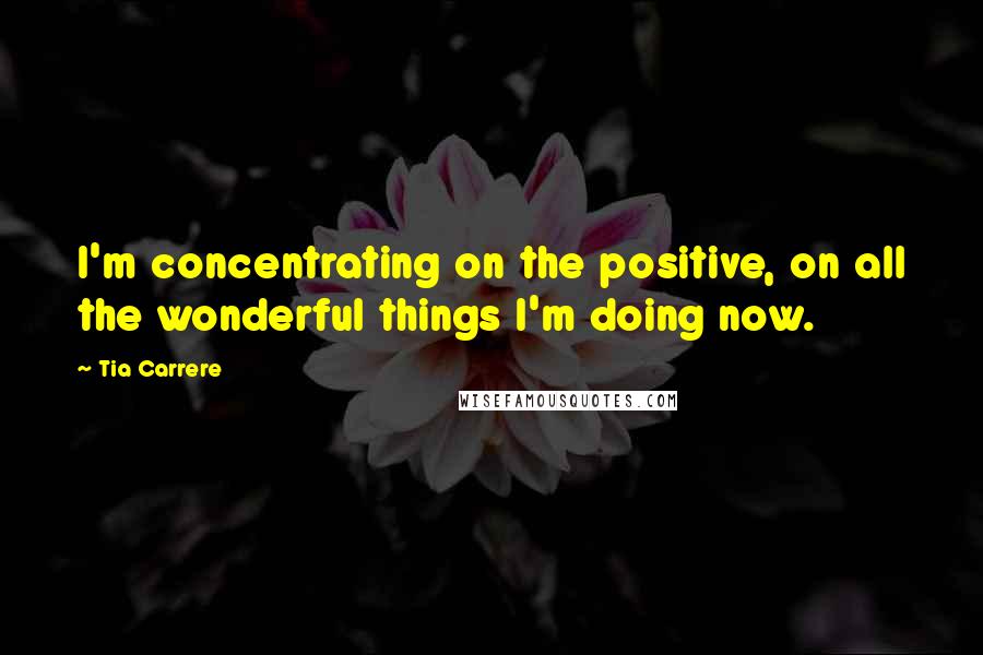 Tia Carrere Quotes: I'm concentrating on the positive, on all the wonderful things I'm doing now.