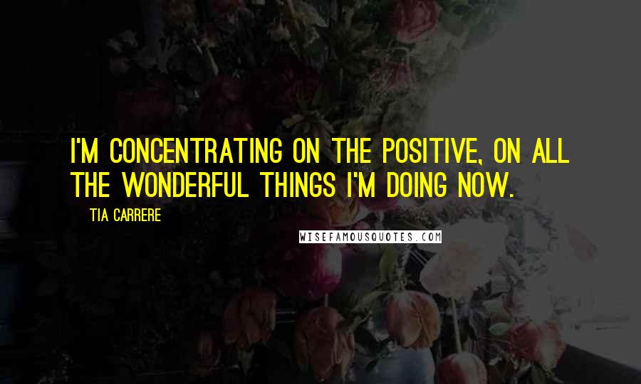 Tia Carrere Quotes: I'm concentrating on the positive, on all the wonderful things I'm doing now.