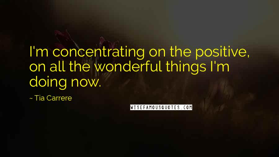 Tia Carrere Quotes: I'm concentrating on the positive, on all the wonderful things I'm doing now.