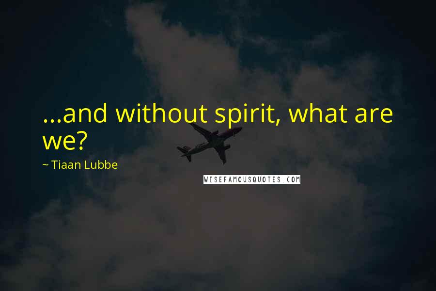 Tiaan Lubbe Quotes: ...and without spirit, what are we?