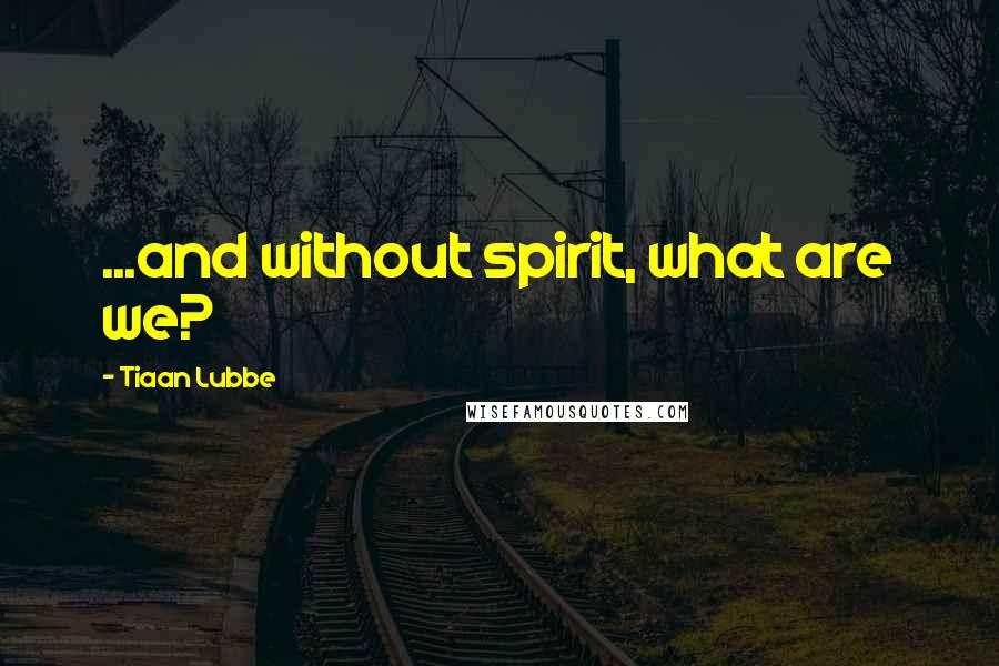 Tiaan Lubbe Quotes: ...and without spirit, what are we?