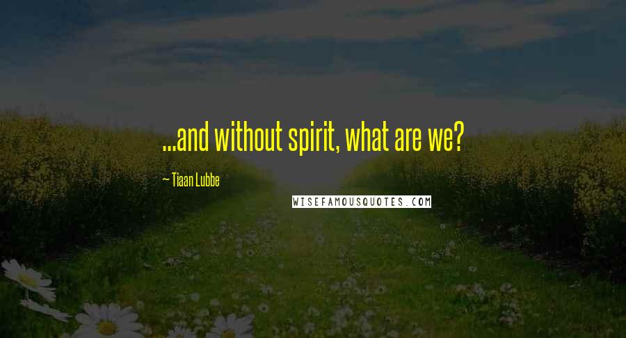 Tiaan Lubbe Quotes: ...and without spirit, what are we?