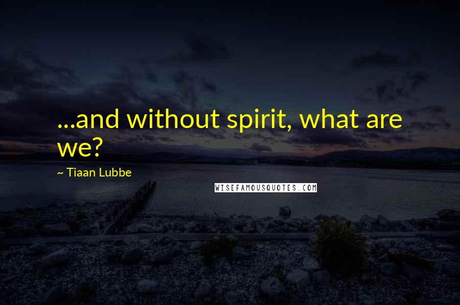 Tiaan Lubbe Quotes: ...and without spirit, what are we?