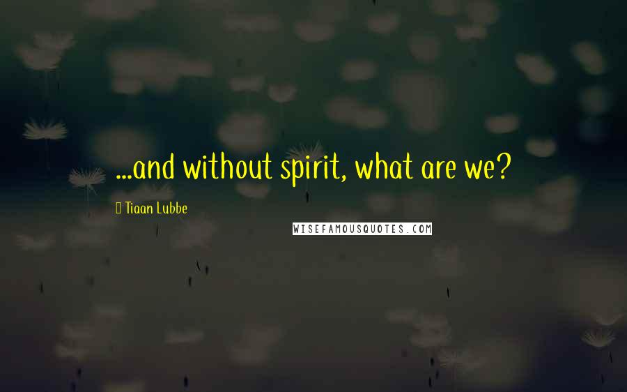 Tiaan Lubbe Quotes: ...and without spirit, what are we?