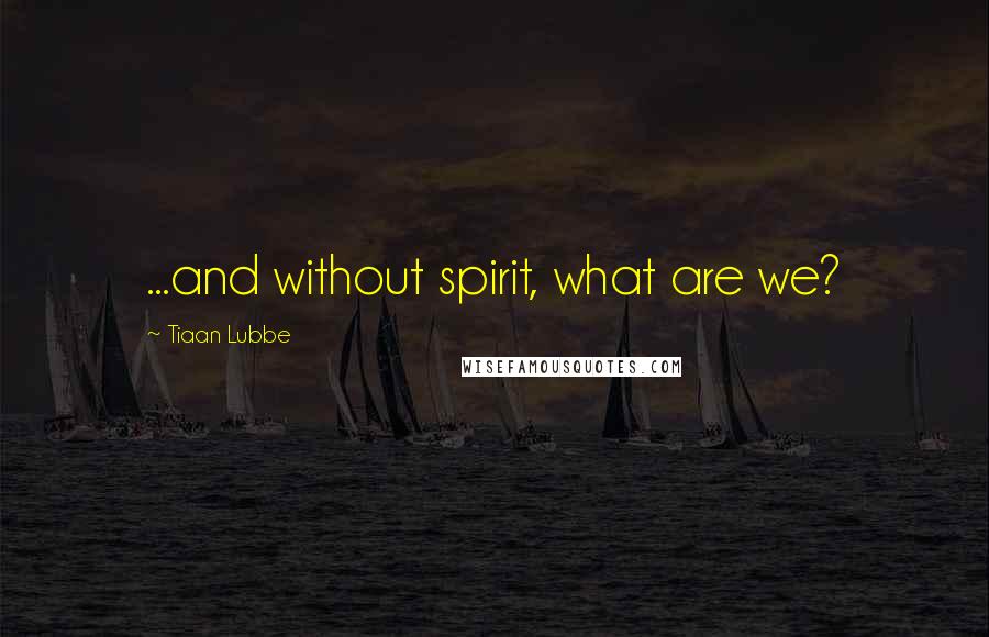 Tiaan Lubbe Quotes: ...and without spirit, what are we?