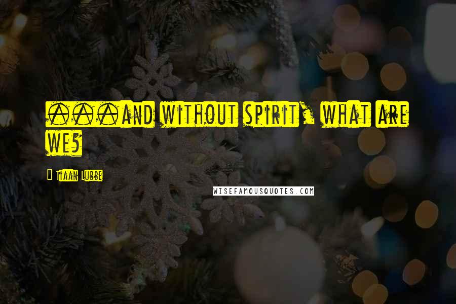 Tiaan Lubbe Quotes: ...and without spirit, what are we?