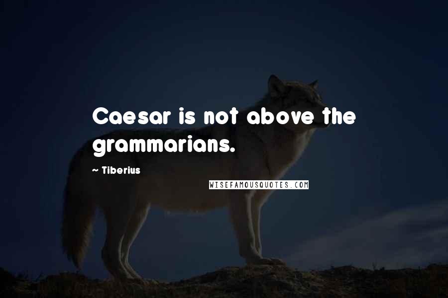 Tiberius Quotes: Caesar is not above the grammarians.