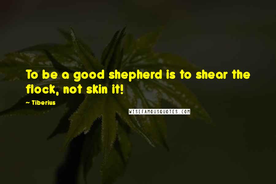 Tiberius Quotes: To be a good shepherd is to shear the flock, not skin it!