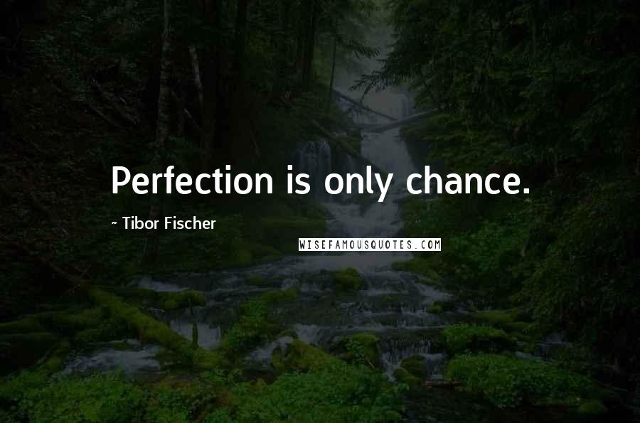 Tibor Fischer Quotes: Perfection is only chance.