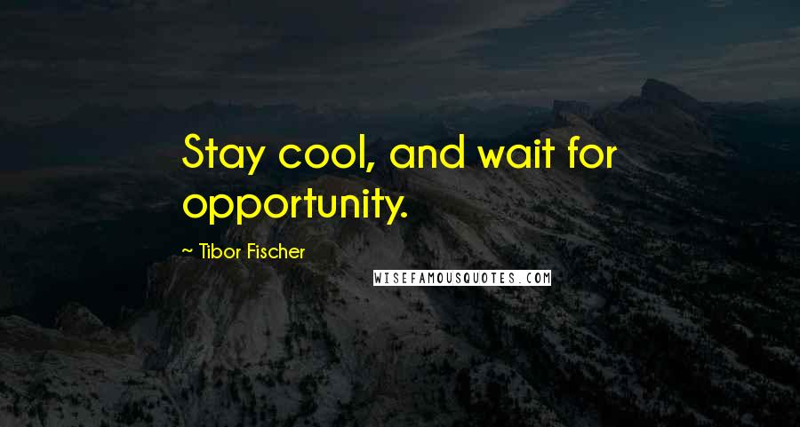 Tibor Fischer Quotes: Stay cool, and wait for opportunity.