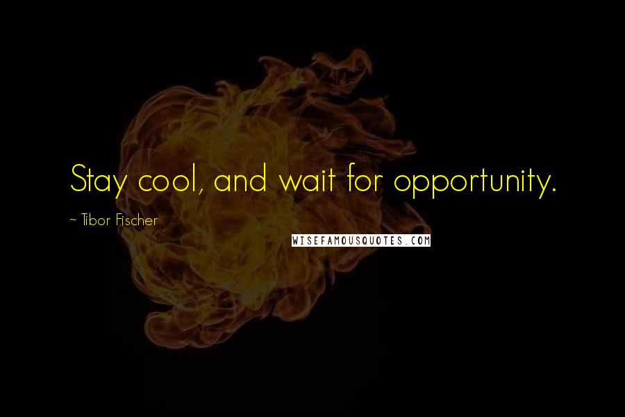 Tibor Fischer Quotes: Stay cool, and wait for opportunity.