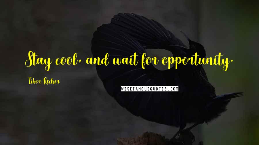 Tibor Fischer Quotes: Stay cool, and wait for opportunity.