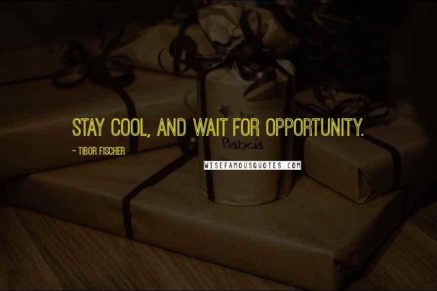 Tibor Fischer Quotes: Stay cool, and wait for opportunity.