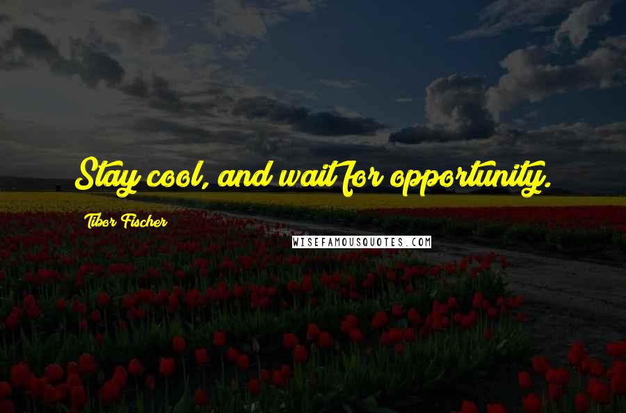 Tibor Fischer Quotes: Stay cool, and wait for opportunity.