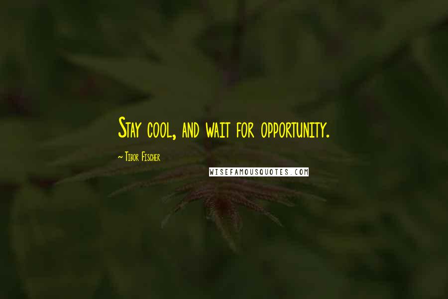 Tibor Fischer Quotes: Stay cool, and wait for opportunity.