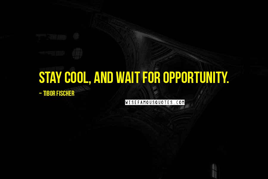 Tibor Fischer Quotes: Stay cool, and wait for opportunity.