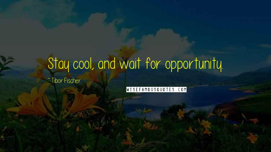 Tibor Fischer Quotes: Stay cool, and wait for opportunity.