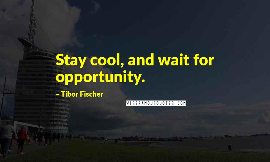 Tibor Fischer Quotes: Stay cool, and wait for opportunity.