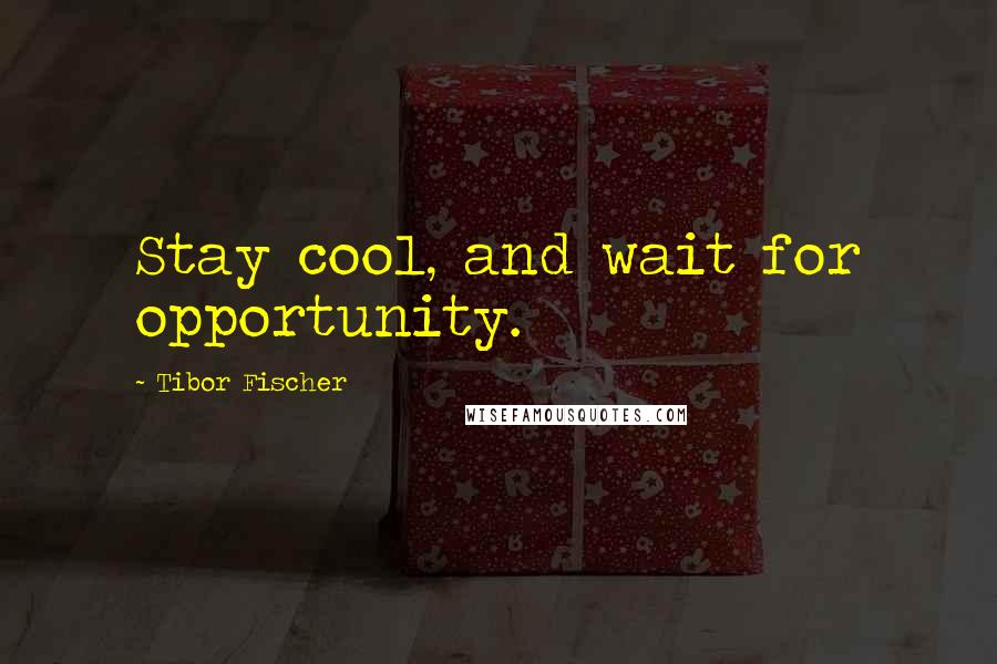 Tibor Fischer Quotes: Stay cool, and wait for opportunity.