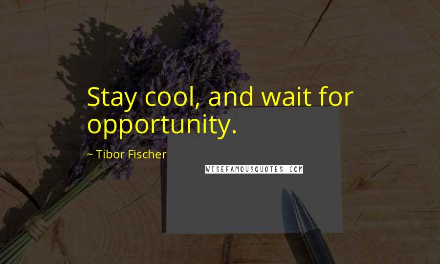 Tibor Fischer Quotes: Stay cool, and wait for opportunity.