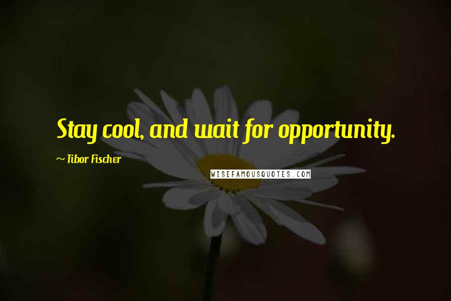 Tibor Fischer Quotes: Stay cool, and wait for opportunity.